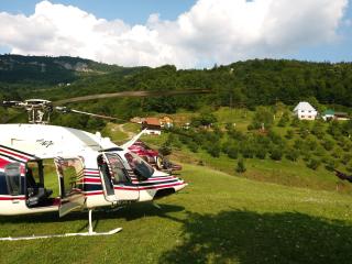 Kljajevica Orchard - 3