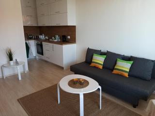 Emerald Buddha Apartment - Bansko - 8