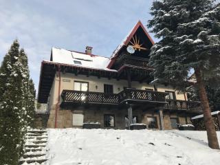 Villa Good Time - Wisła - 1