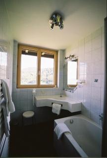 Hotel Restaurant Stigenwirth - Krakauebene - 9