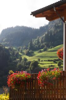 Fassnauerhof Ridnaun - Racines - 2