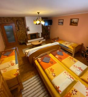 Privát u Zdenky - Lazy pod Makytou - 9