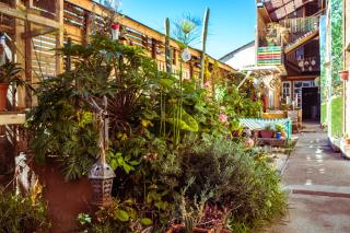 Hostal Valle Mistral - La Serena - 8