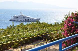 Hotel Vila Alvin & Apartments - Saranda - 6