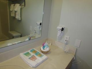 FairBridge Inn & Suites DuPont - 3