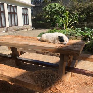 Akim Homestay - Kohīma - 2