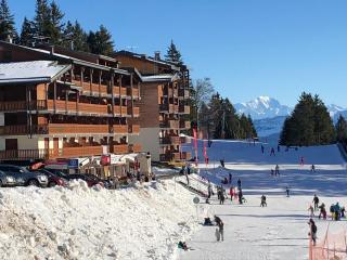 Les Terrasses de Tresserve - Aix-les-Bains - 4