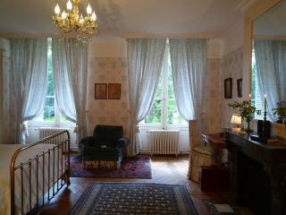 Bed and Breakfast - Château du Vau - Ballan-Miré - 1