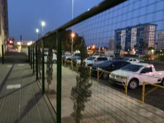 No GOLDEN DOLPHIN EXPRESS VOCÊ IRÁ TER MOMENTOS ESPETACULARES! - 3