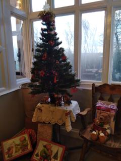 Llanwrtyd Hall B&B Angelis Holistic Retreat - 4