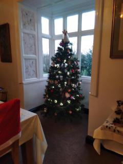 Llanwrtyd Hall B&B Angelis Holistic Retreat - 7