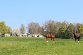 Vakantiehuis met UITZICHT! Domein Hellebeuk Valkenburg-Klimmen - Klimmen - 1
