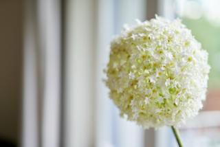 Villa Brodthage, App. 3 - 2