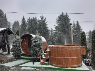 Vila Confort - Borşa - 2