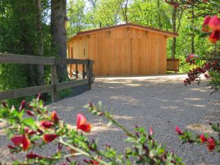 LES MATHIEUX la cabane du Parc - Bongheat - 1