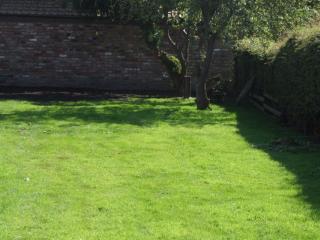firtrees - Selby - 1
