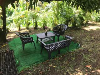 Coconut Studio - Capesterre-Belle-Eau - 8