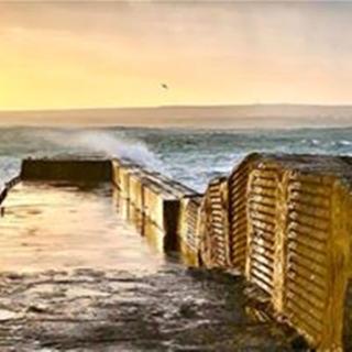 Windhaven Camping and B&B - Thurso - 3