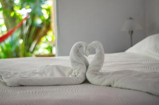 Casa Cedro - Portasol Vacation Rentals - Matapalo - 0