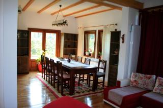 Albinuta Guesthouse - Ozun - 9