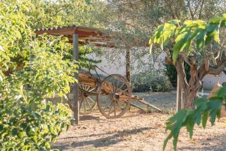 Résidence Spelonca - 2