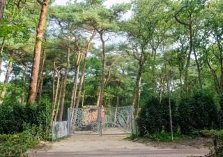 Villa in the forest near the beach - 9