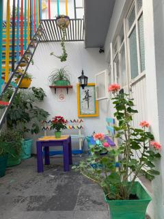 Monkey Safari Hostel - Querétaro - 1