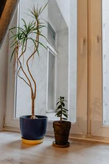 Warsaw Concierge Chmielna Antresola - Warsaw - 6