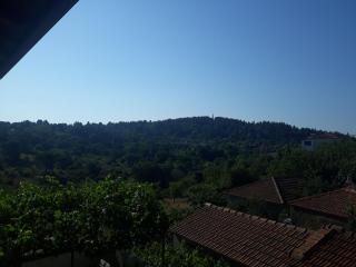 Yerios - Lafkos - 1
