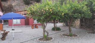 Cabaña Pizarro Horcón - Horcón - 9