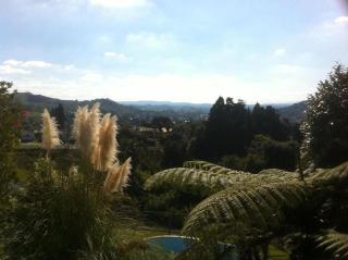 Panorama Motor Inn - Te Kuiti - 8