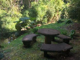 Dantica Cloud Forest Lodge - San Gerardo de Dota - 2