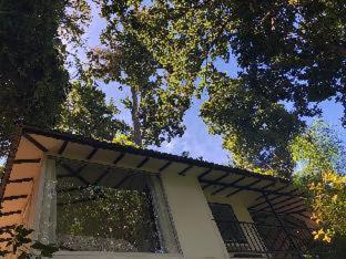 Dantica Cloud Forest Lodge - San Gerardo de Dota - 1