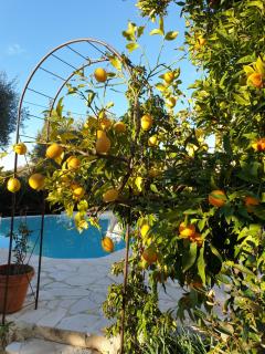 Villa Mia - Vence - 3