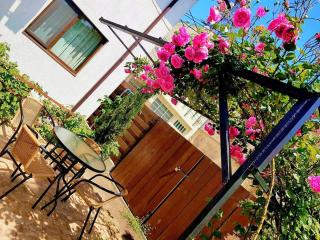 Pensiunea Casa Blanca - 8