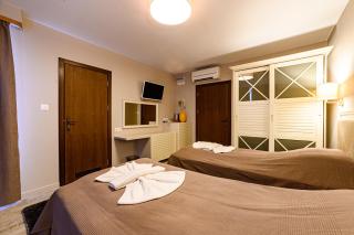 Antique Boutique Hotel - Pavel Banya - 5