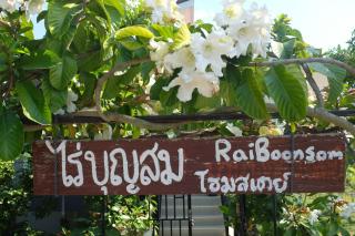 Rai Boonsom - Phrao - 8