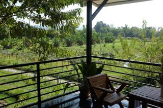 Rai Boonsom - Phrao - 1