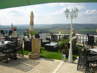 LOGIS HÔTEL RESTAURANT SPA Les BALCONS DE L'ESPERANCE - Limeuil - 1