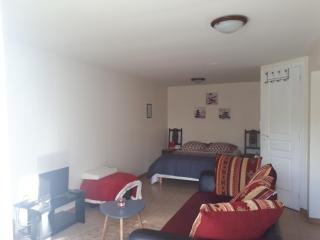 Bienvenue chez les GIBBS! - Sury-en-Vaux - 0