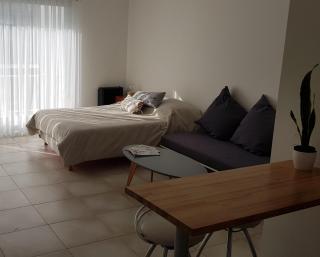 Depto nuevo, luminoso, excelente ubicación, ideal para descansar. - Mar del Plata - 8