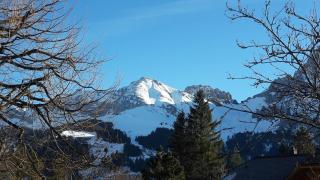 Chalet Allmegrat - Adelboden - 8