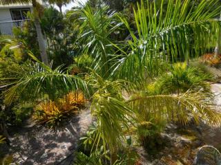 Florida Keys - Marathon - 5