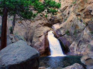 Cedar Grove Lodge - 4