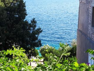 Apartment with Sea View - Prigradica - 1