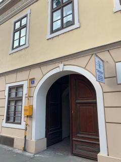 Rustic Apartment in the Historical Center - Timişoara - 5