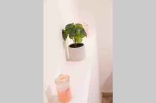 La Cour du Faubourg 1 (LCDF1) - 7