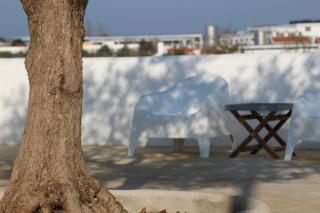Quinta do Barreiro - Borba - 2