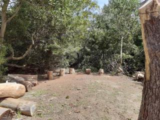 calle 11 y 24 santa ana containers - Cuchilla Alta - 6