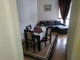 Ski & Holiday Apartments in Pamporovo - Pamporovo - 3
